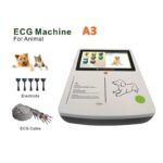 canine ecg