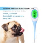 rectal dog thermometer
